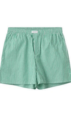 H2O Shorts - Rønne Essential - Green/White