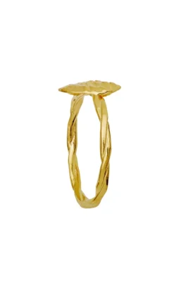 Maanesten Ring - Dwyn - Gold Colour